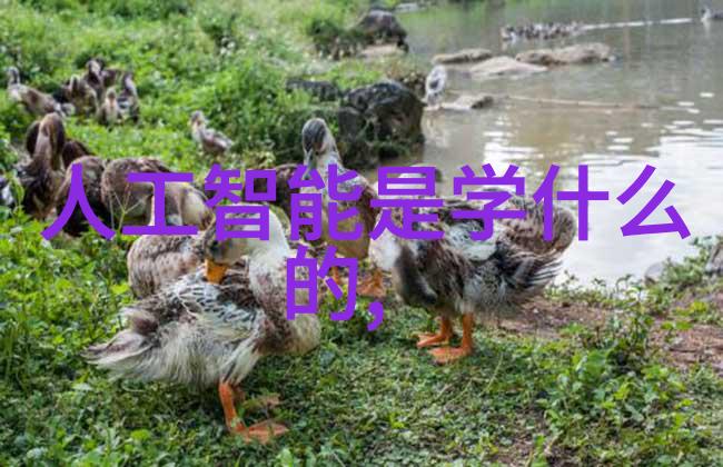 卧室榻榻米装修效果图分析探究传统日本家具在现代居住空间中的再解读与应用