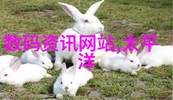 水晶净灵小型纯净水净化器的诗篇