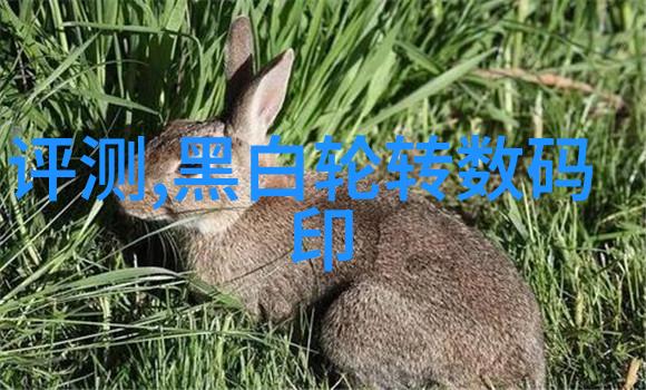 波纹填料的重量选择不锈钢丝网的应用与秘诀
