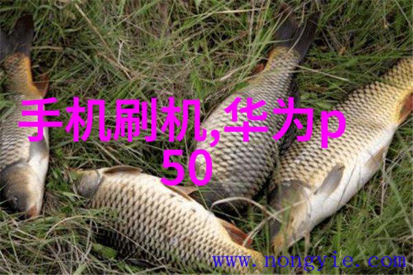 促进剂-激发潜能的化学引擎从催化剂到生长激素的探索