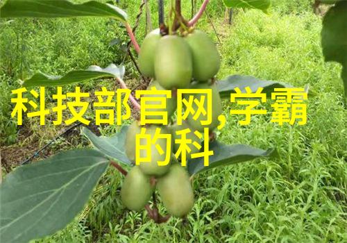 具体描写被C的过程-细腻抒情一段温暖的被拥抱经历