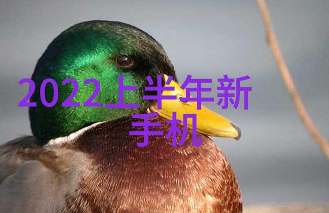 精细化学品我是如何在家中安全处理它们的