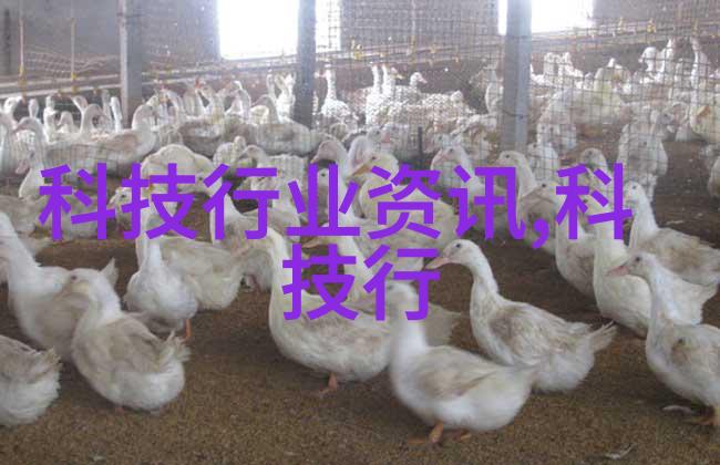 药品直接包装机械的发展历程是什么