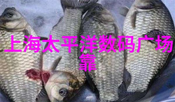 西南财经政法大学-翱翔青春西南财经政法大学的学术与梦想