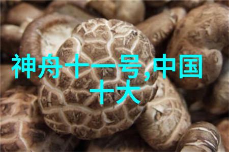现代建筑材料的革新彩钢压瓦机的崛起与应用