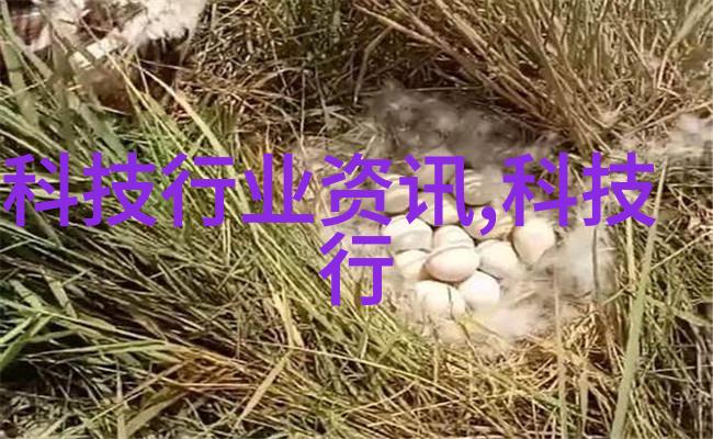 不锈钢加工的奇迹定做你心中的闪光点