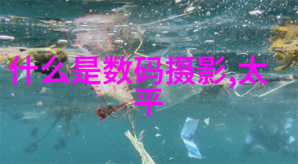北京软件评测中心确保软件质量的试金石