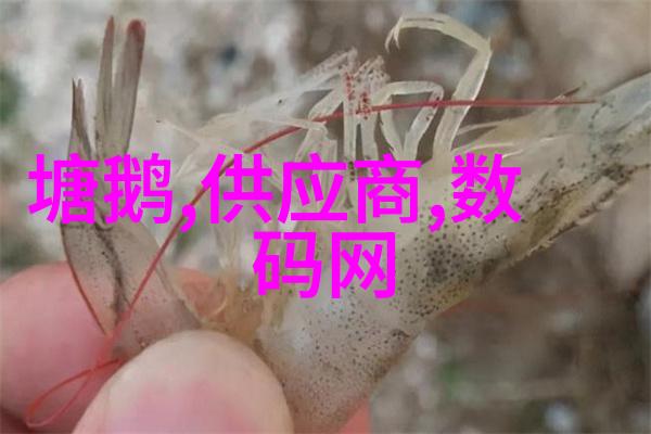 化工贮存设备安全稳定保障产品质量
