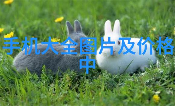芯片的诞生从晶体到智能世界的奇迹之旅