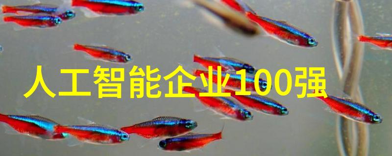 输送带的智慧运输效率与耐用的双重奏鸣