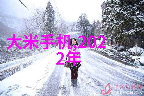 探索750丝网填料性能的奥秘深入分析其曲线特性与应用前景