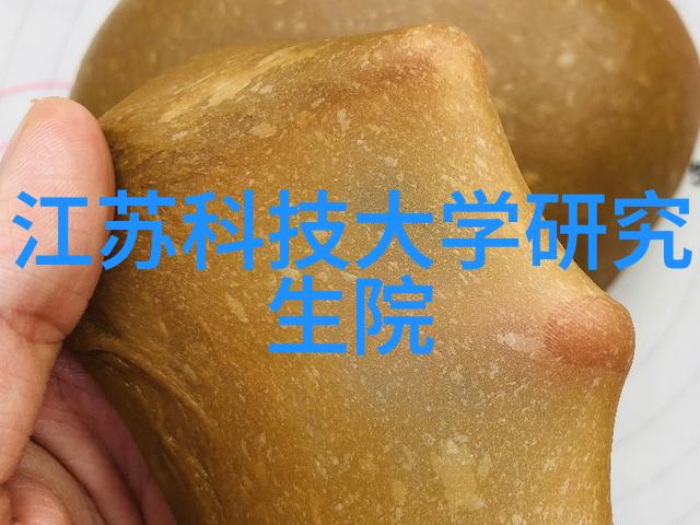 化工卫生泵-安全运输化工卫生泵的选择与维护关键