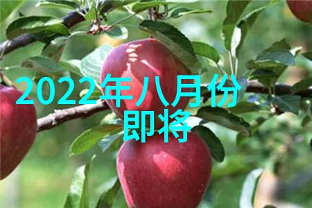 二手汽车配件拆车件app-重燃爱车之光如何利用二手配件拆车件App优化您的维修体验