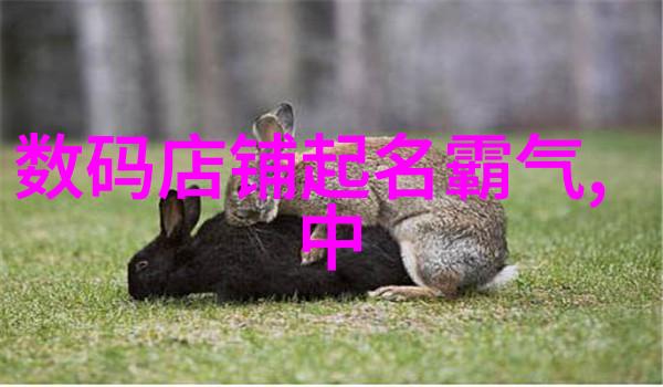 高压灭菌锅长时间开启的谜题一晚之事引发的安全与效率考量