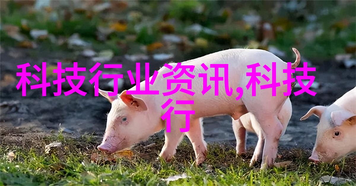 化工药包材制造设备-高效生产线的关键技术与创新应用
