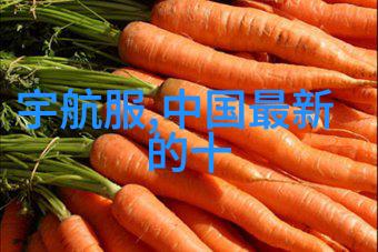 冰川之主探秘制冷设备的精髓