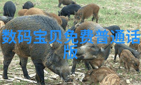 我你这具备英文的哥们儿我怎么都说不过去
