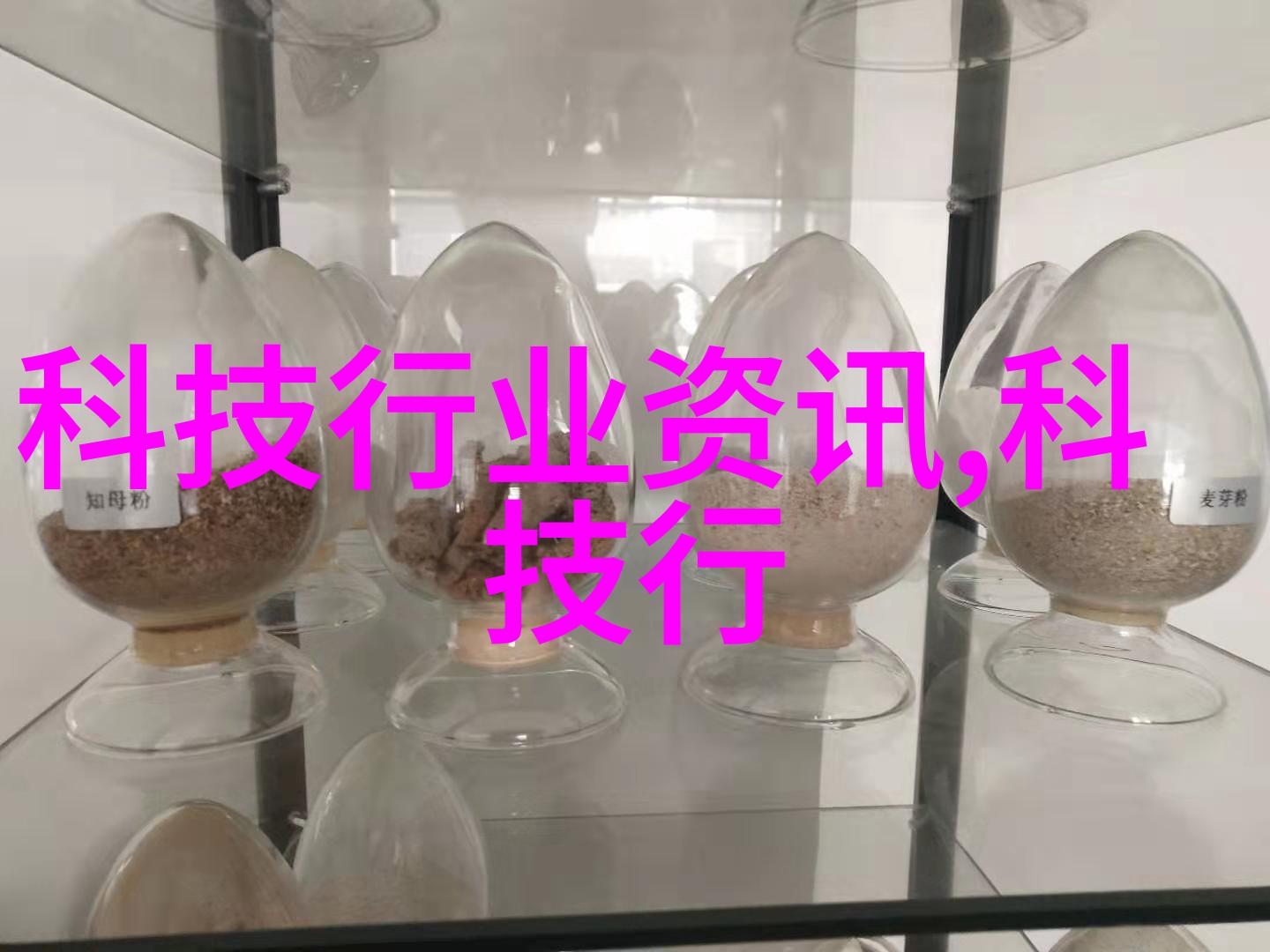 四虎最新地域网名2021东营的苹果之恋