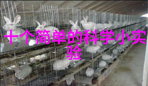工业废气污染之风的肆虐