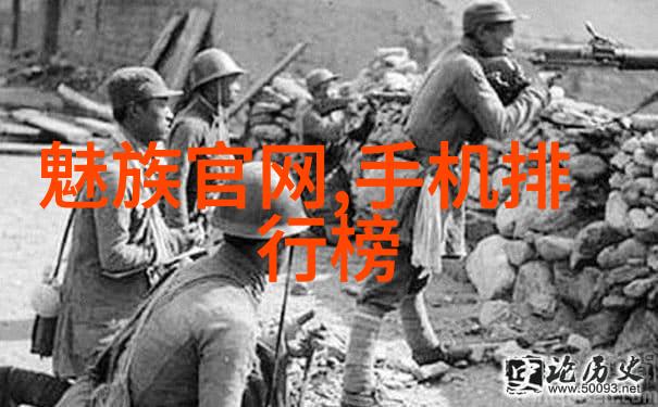 科斯特花环填料的魅力与应用