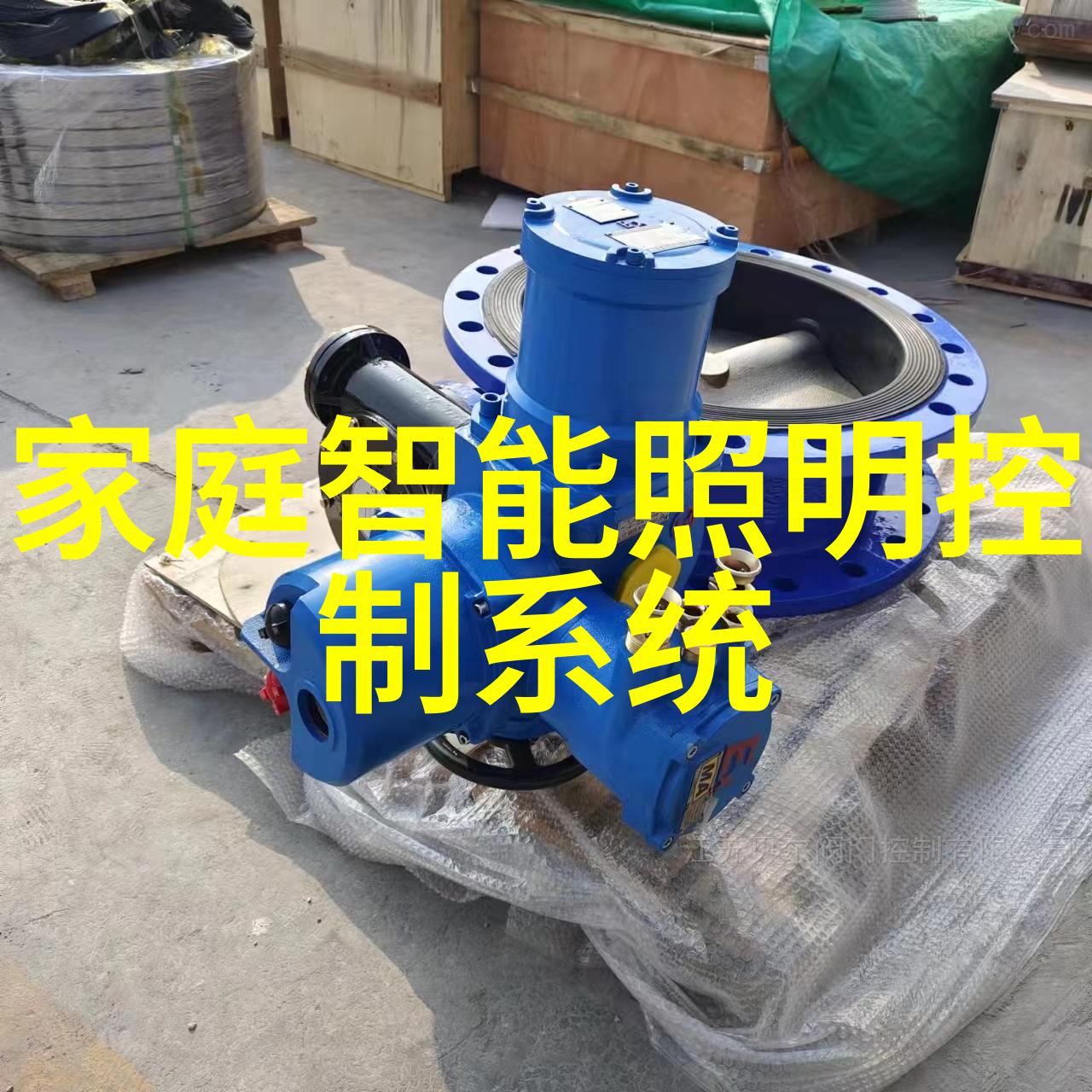 家庭安全守护者掌握水质检测的智慧