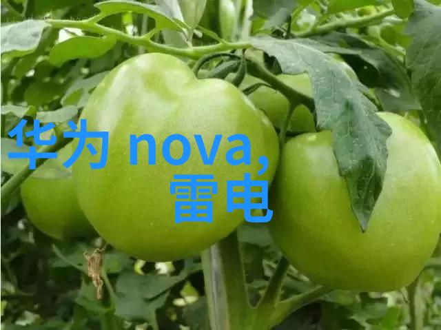多功能流化床的操作参数设置指南