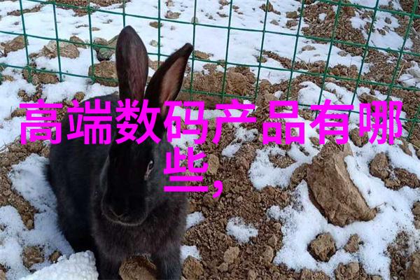 玻璃实验室的清新篇章透明守护化学探索