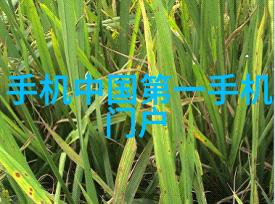 颗粒剂机械我是如何让粉碎机器变得噼里啪啦高效的