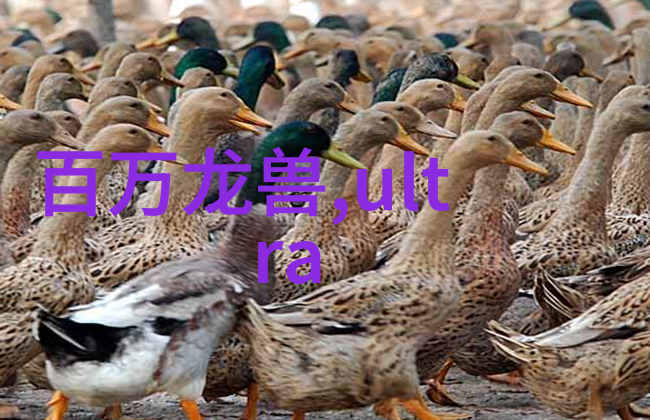 粉体输送设备-高效稳定粉尘物料的智能传输系统