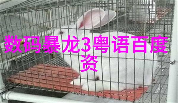 不锈钢丝网波纹填料重量咱们来聊聊它的秘密
