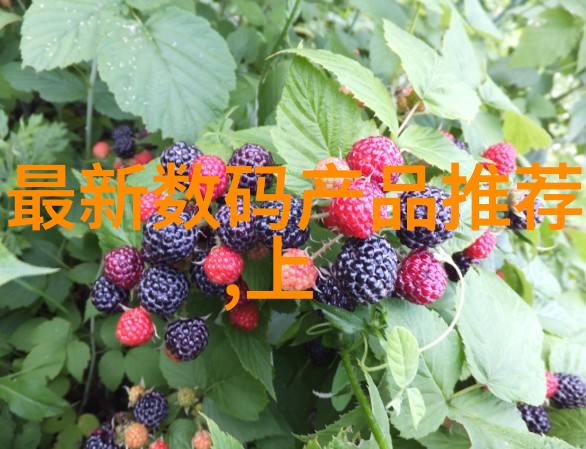 水系深渊揭秘那些隐匿在平静表面下的水利局巨型工程