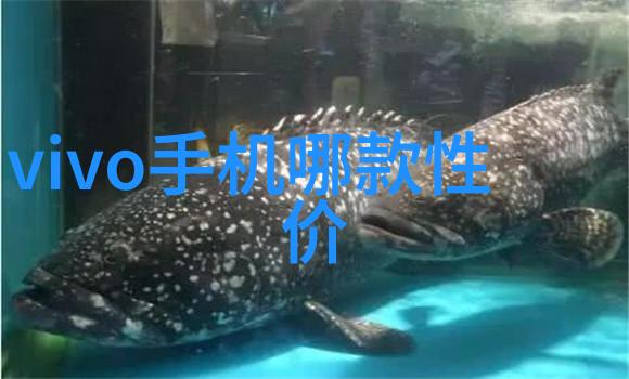 化工冷气贮藏设备冰室之谜