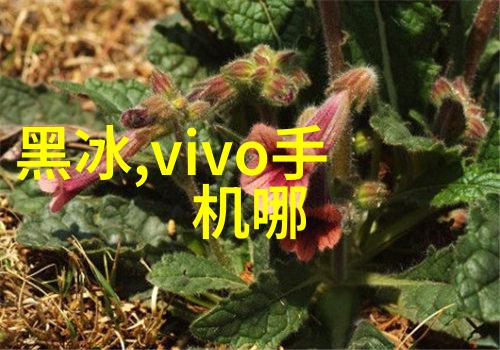 2023年28纳米芯片国产光刻机技术进展与未来展望