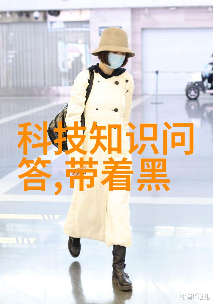 硅之谜揭秘芯片世界的双面刃
