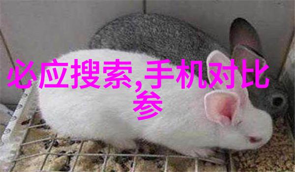 新手如何正确安装和维护化工管件