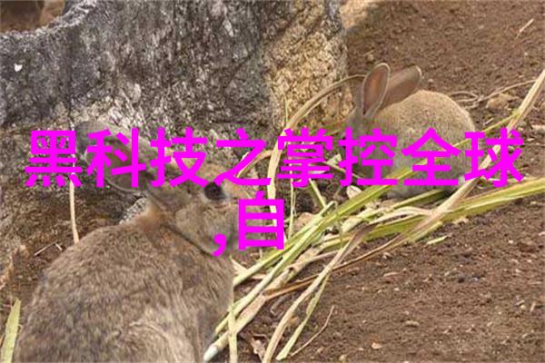 浙江财经大学梦想的金桥之旅