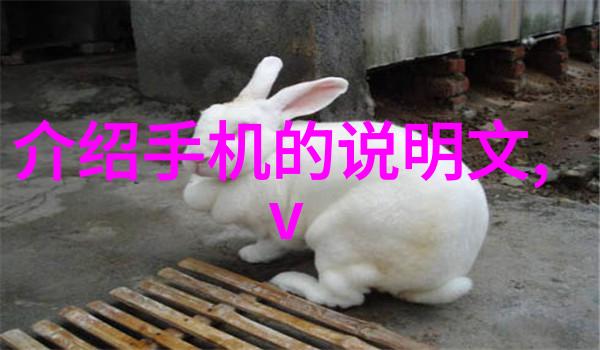 室外水电安装施工方案装修卫生间不忘加固这小孔即使多花钱也所值