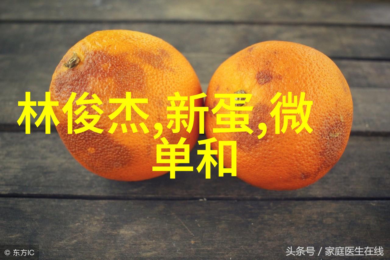 气力输送设备的应用与未来发展方向