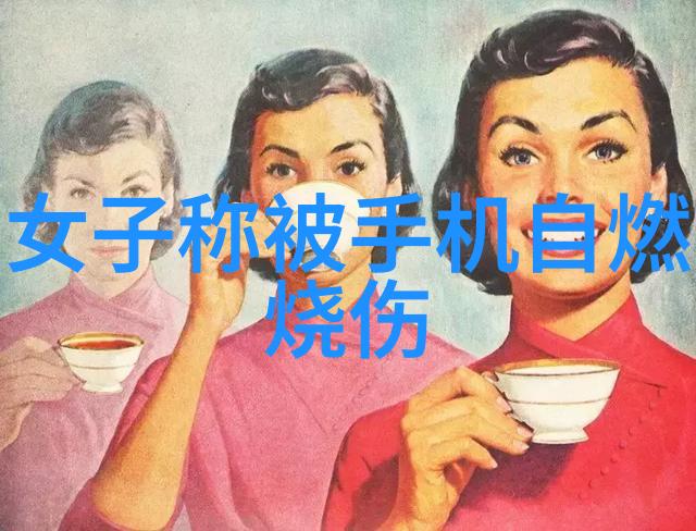 房屋装修设计效果图 - 梦想居所精致空间的创造与展现