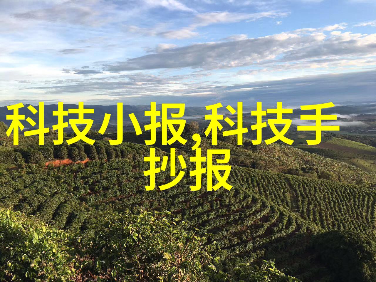 除尘骨架清洁古墓的神秘任务