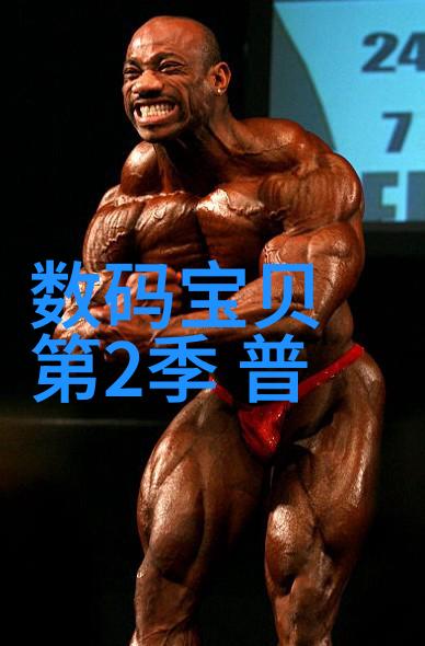 家居美学反差风格装修设计图集