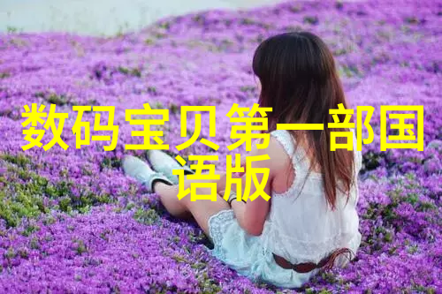 从图像到理解AI智能识别系统的进化历程