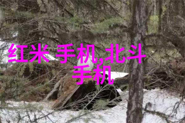 利晶微电子待遇怎么样-探讨员工福利与薪酬体系