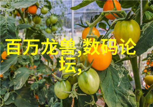 逆止器逆向工程揭秘技术防御的最后一道防线