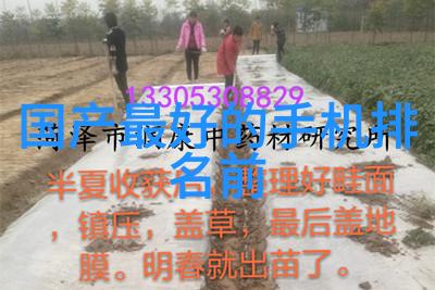 氢的奇迹清洁能源之光
