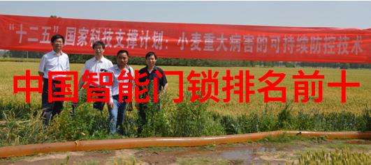 生活小技巧我是如何用亚克力制品让家居装饰更有个性