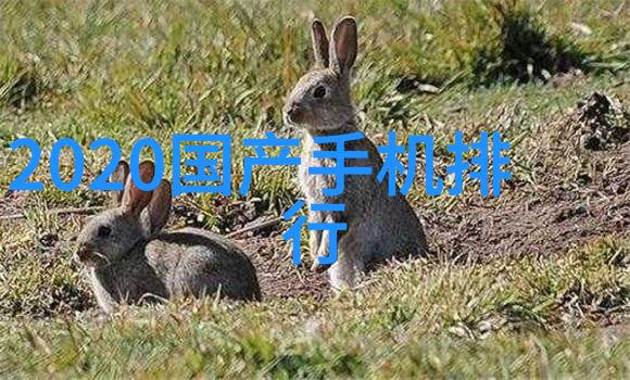实验室超纯水设备精密制造与高效过滤的双重保障