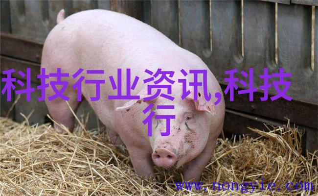 流量仪器的精确测量与应用