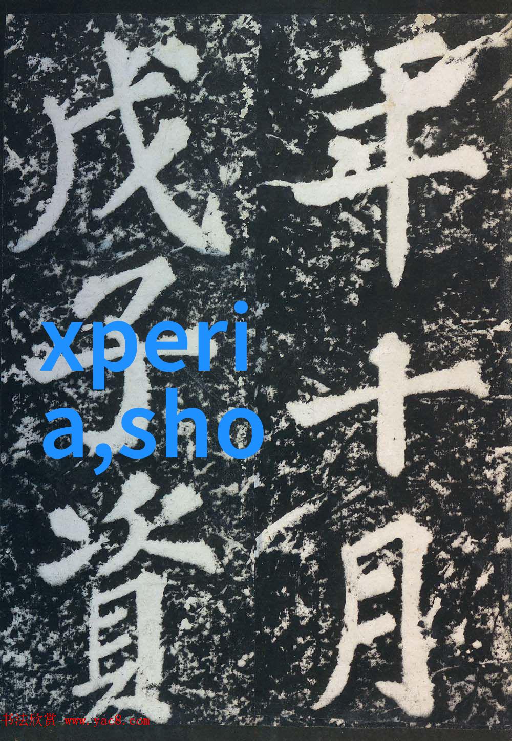 家用萃取机香浓时光的滋味记忆