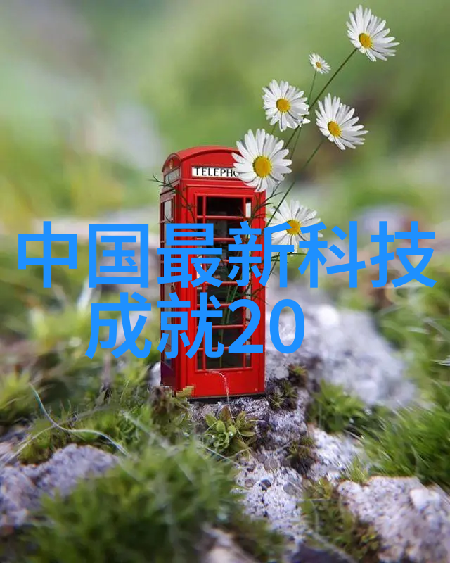 水管中的秘密PVC背后的谜团